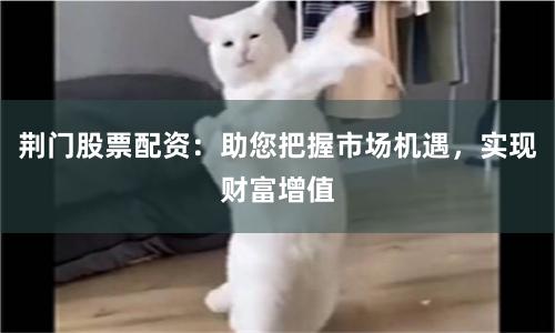 荆门股票配资：助您把握市场机遇，实现财富增值