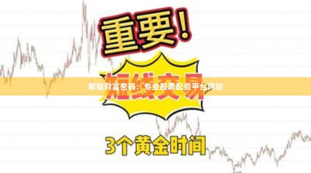 解锁财富密码：专业股票配资平台网站